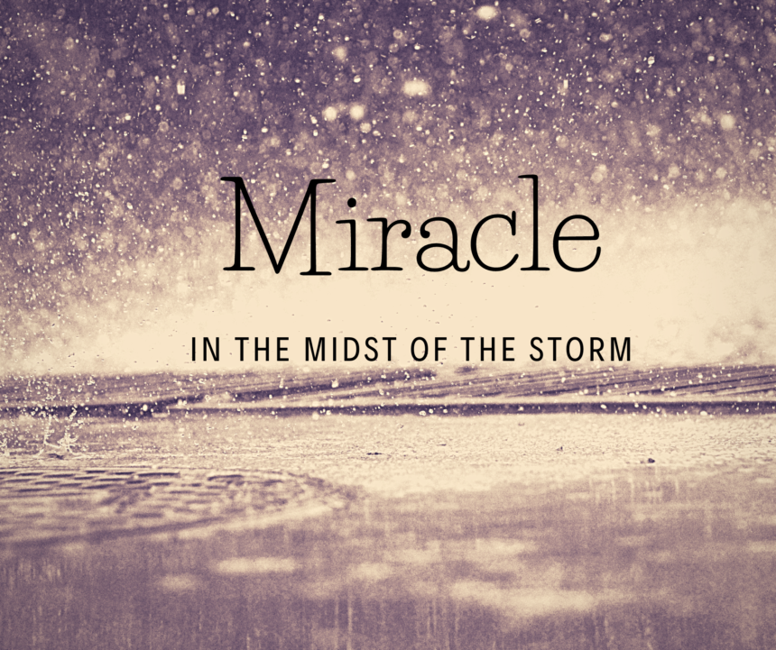 Miracle in the Midst of the Storm