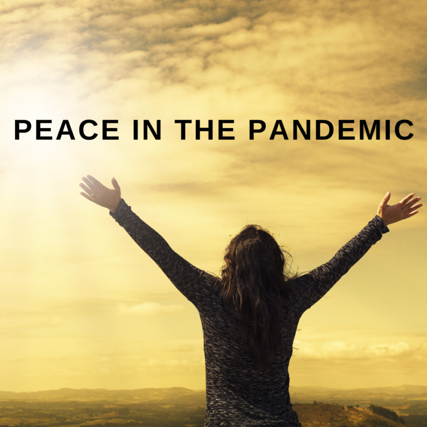 Peace in the Pandemic